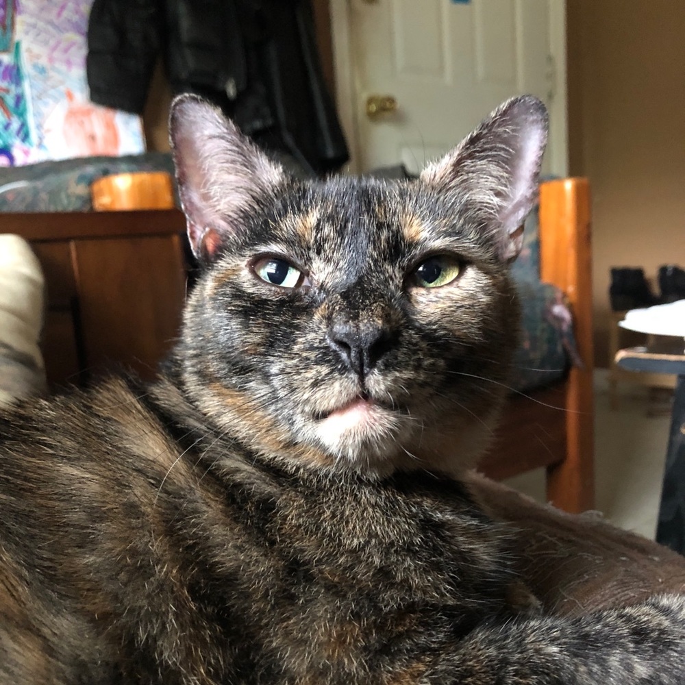 Meet your Posher, Ruth